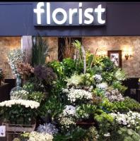 Camberwell Florist image 1